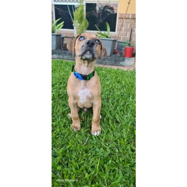 Photo of Magnum