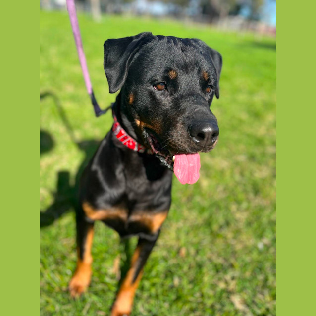 Photo of 💝 Lady 5130 💝