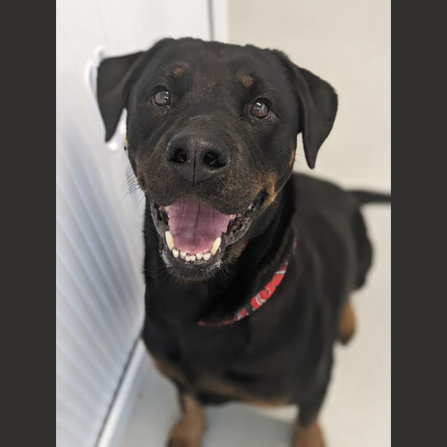 Photo of 💝 Lady 5130 💝