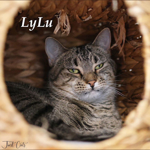Photo of Lylu