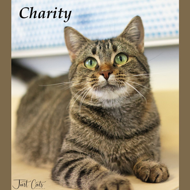 Photo of Charity