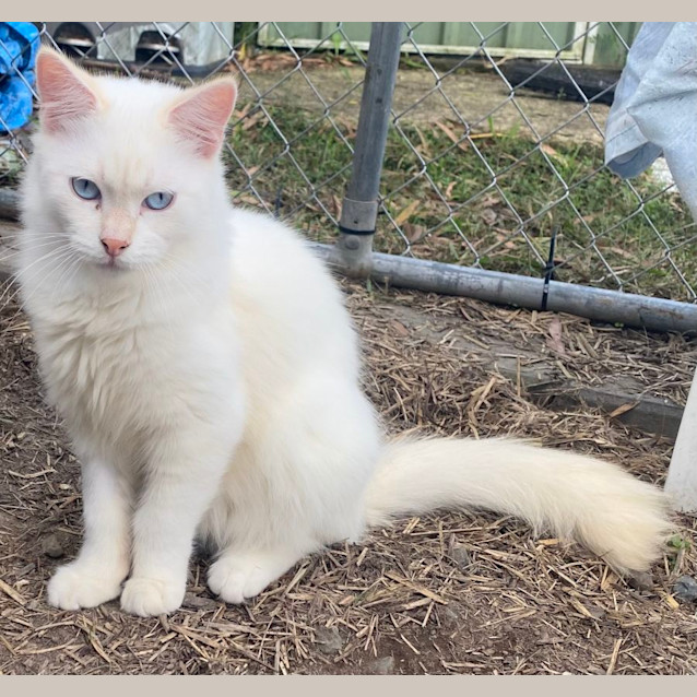 Photo of Bobby