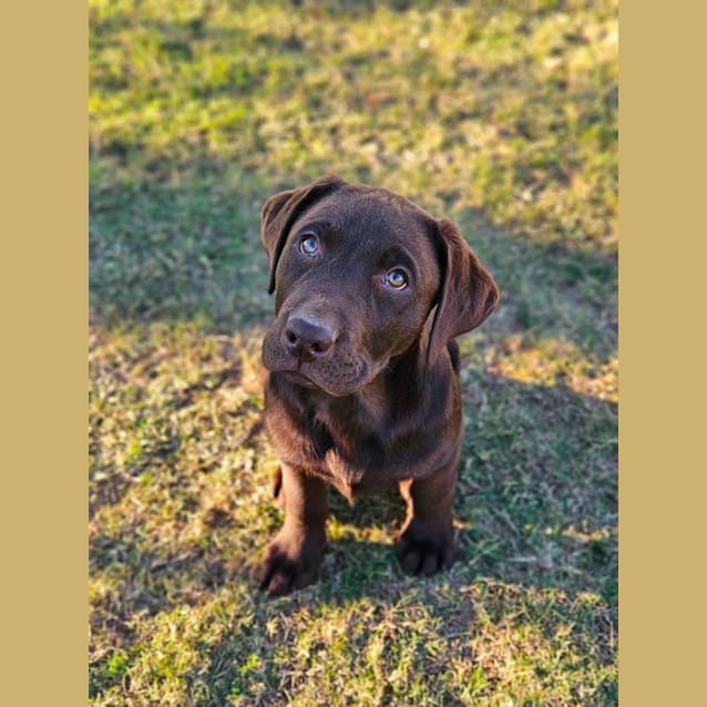 Photo of Mash