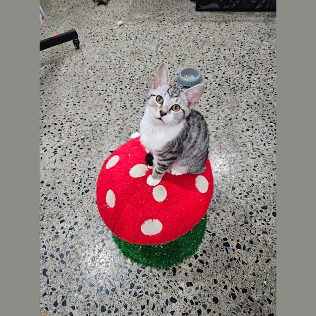 Photo of Zoe