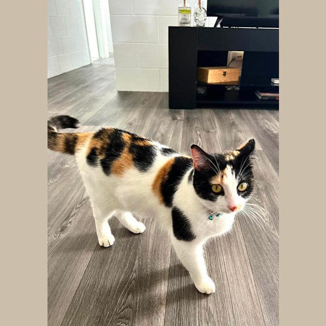 Photo of Xiomara (Pronounced See O Mara)