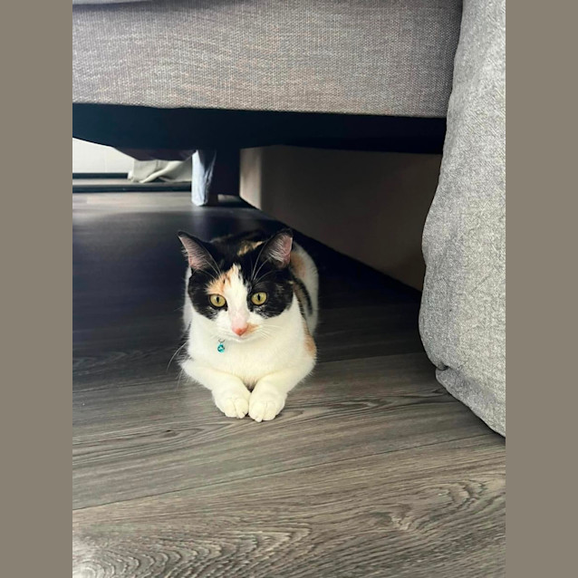 Photo of Xiomara (Pronounced See O Mara)