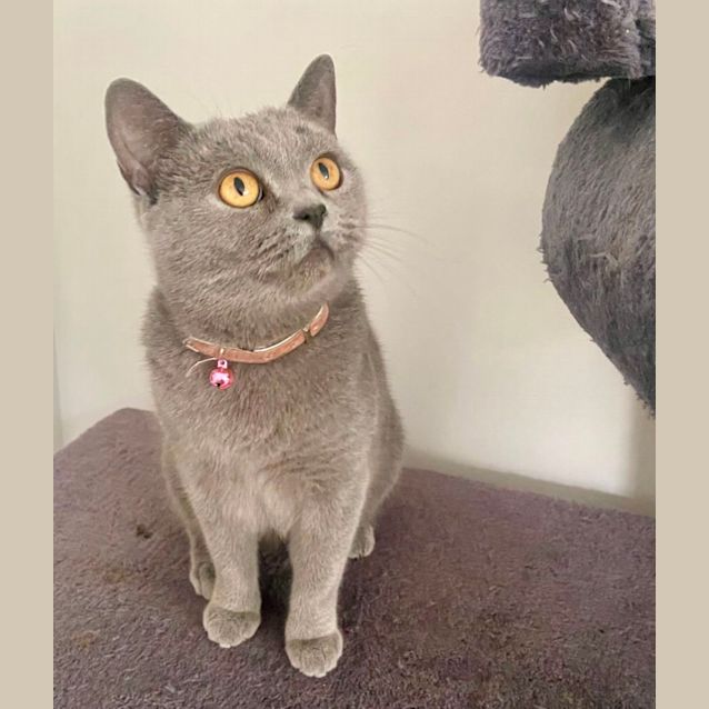 Photo of Betty 🎀💝