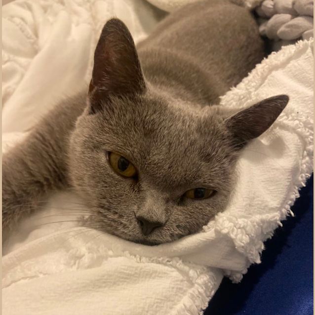 Photo of Betty 🎀💝