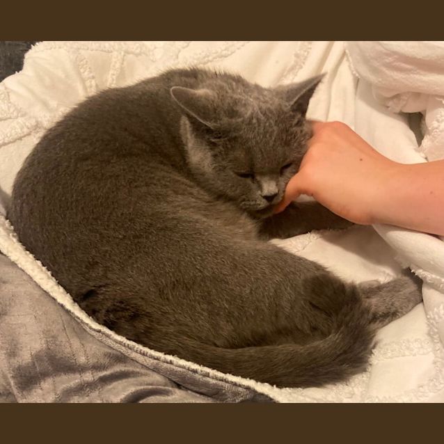 Photo of Betty 🎀💝