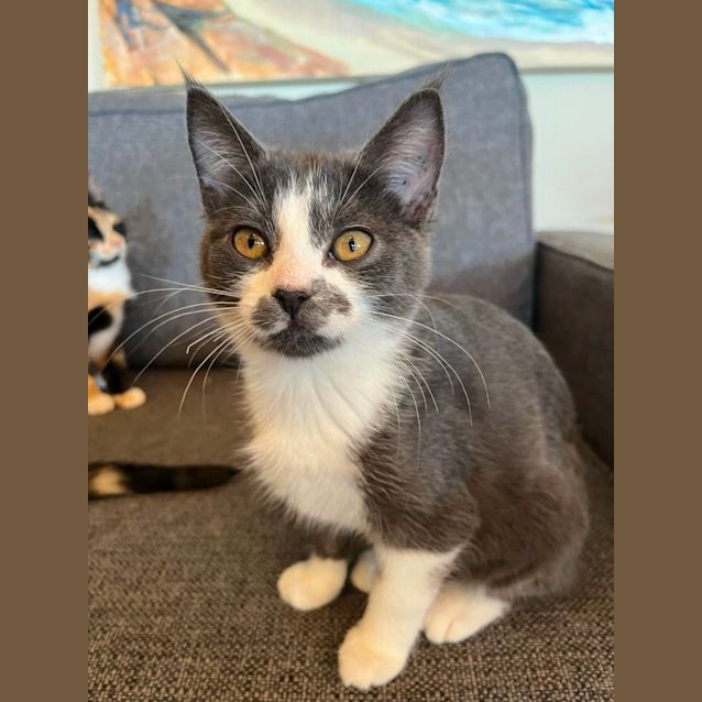 Photo of Keats   Meet Me At Vets On Parker Templestowe