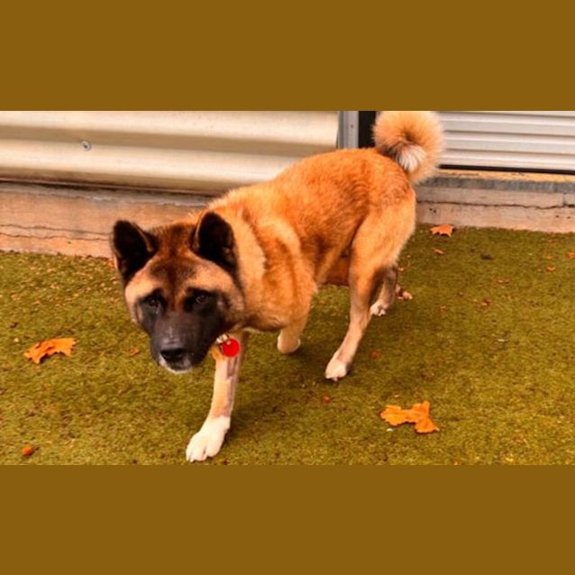 Photo of Matilda