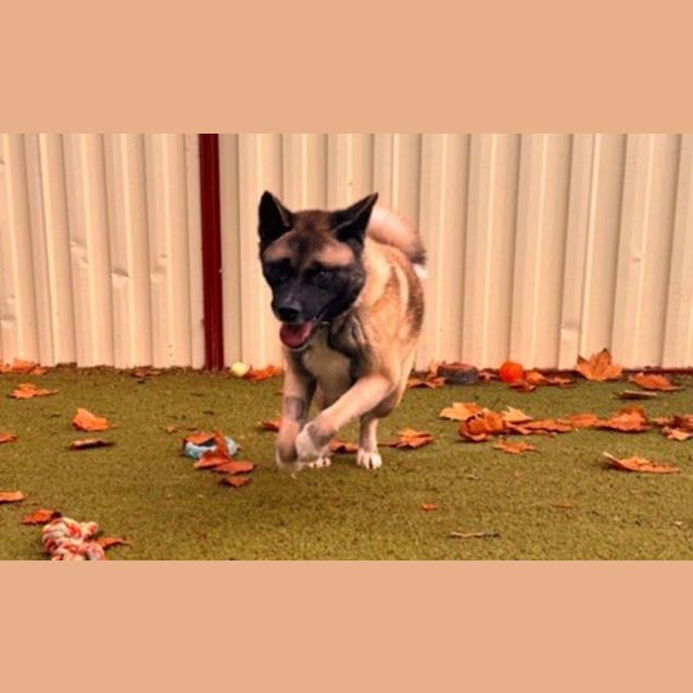 Photo of Matilda