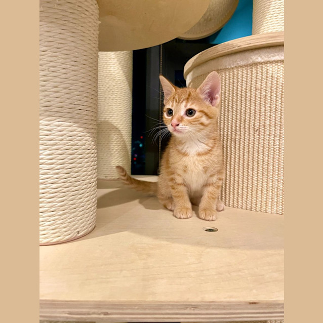 Photo of Lexi
