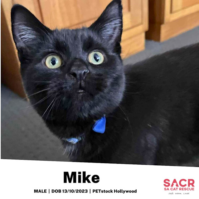 Photo of Mike
