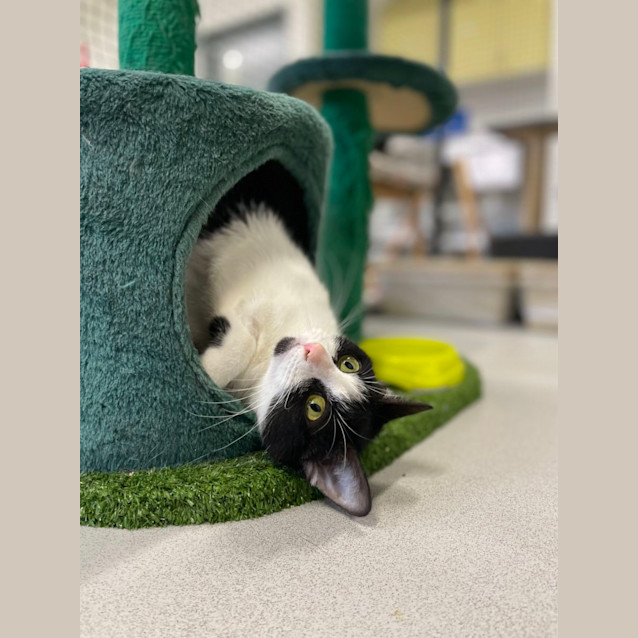 Photo of 🍿 Tahini 5063 🍿