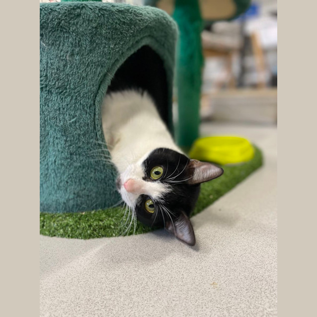 Photo of 🍿 Tahini 5063 🍿