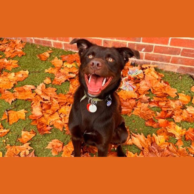 Photo of Axle
