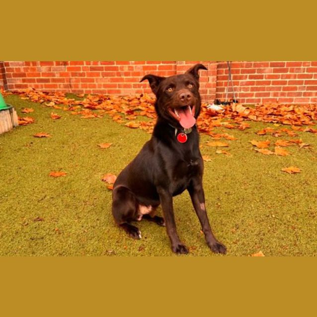 Photo of Axle