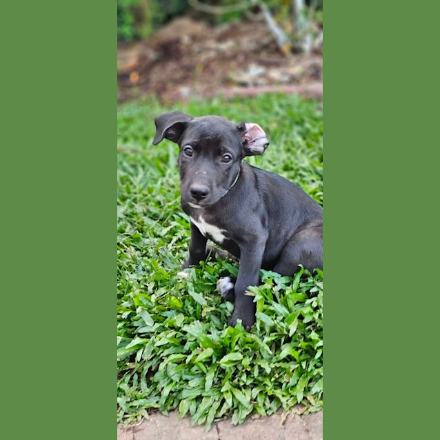 Photo of Echo