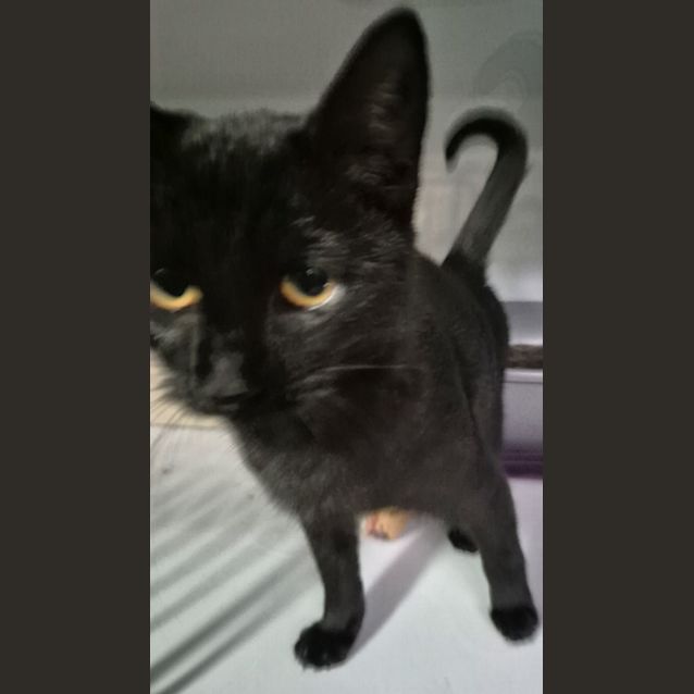 Photo of Lil