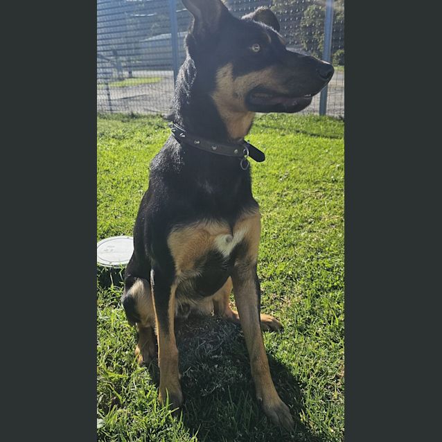 Photo of Coco