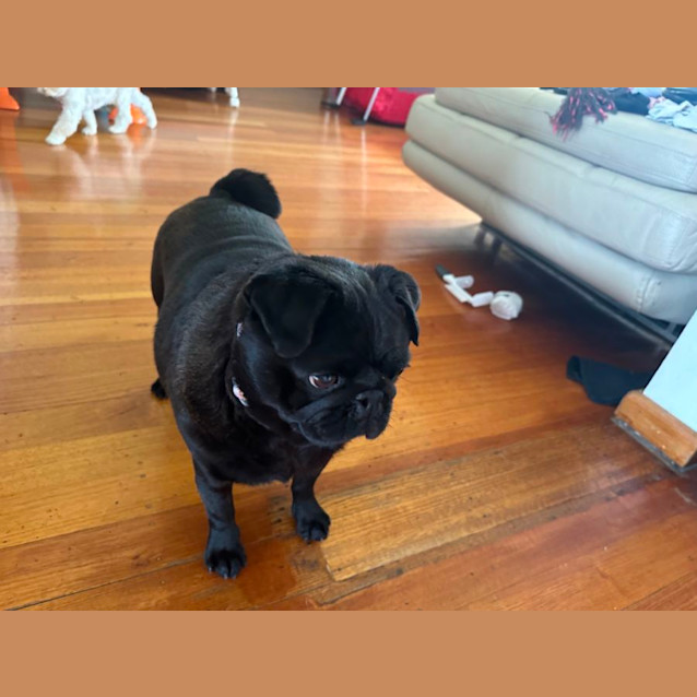 Photo of Bruce