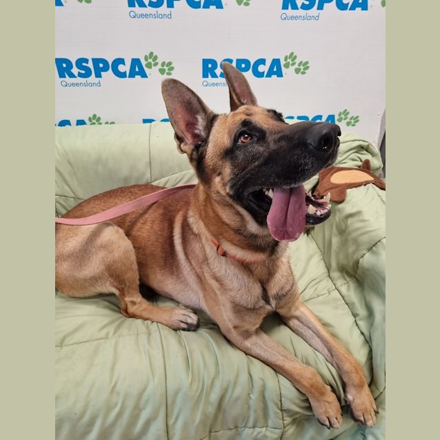 Photo of Emperor