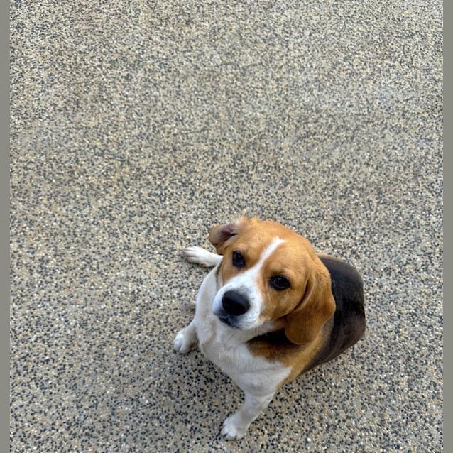 Photo of Molly