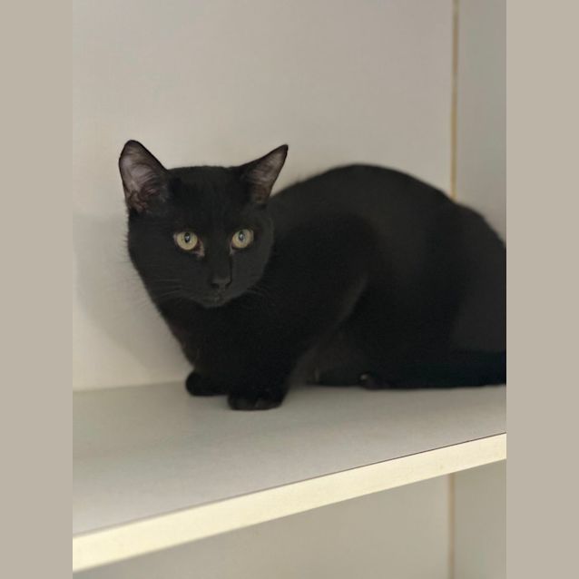 Photo of Mr Mistletoe