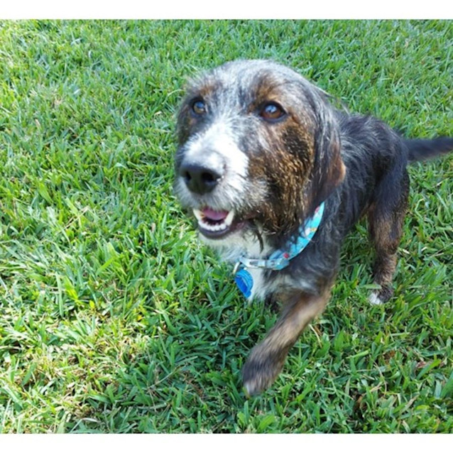 Photo of Tucker