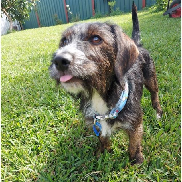 Photo of Tucker