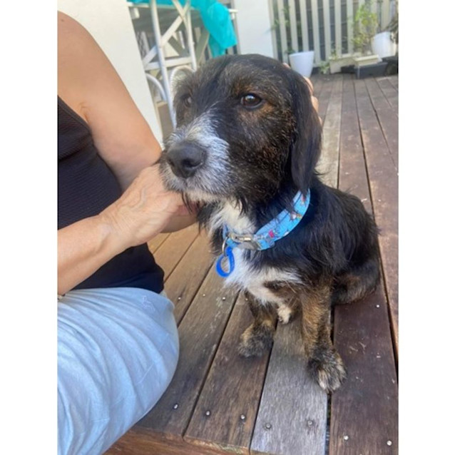 Photo of Tucker