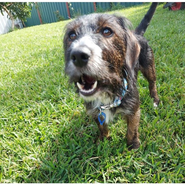 Photo of Tucker
