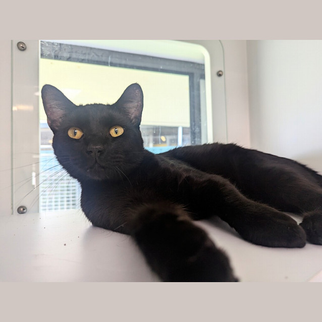 Photo of Zuko