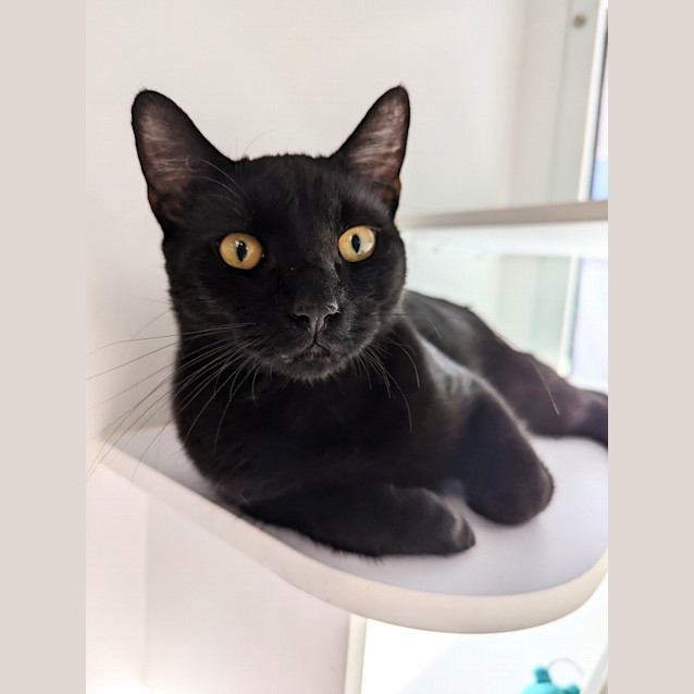 Photo of Zuko