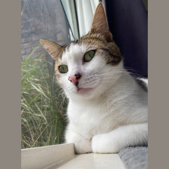 Photo of Morris (Aka Moz)