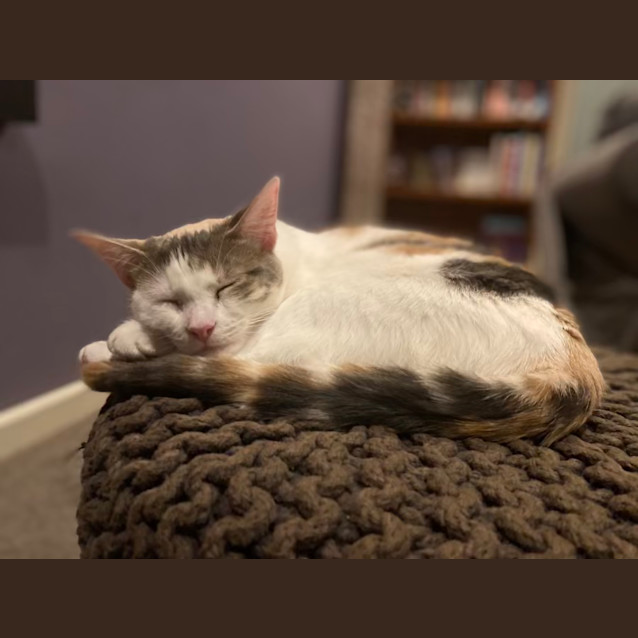 Photo of Saskia Aka 'Sassy Doo Dah' 🌸🐈‍⬛