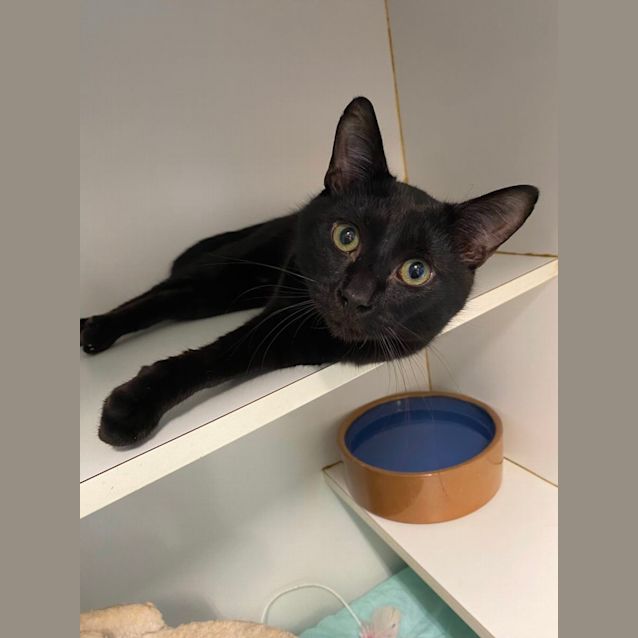 Photo of Mr Mistletoe