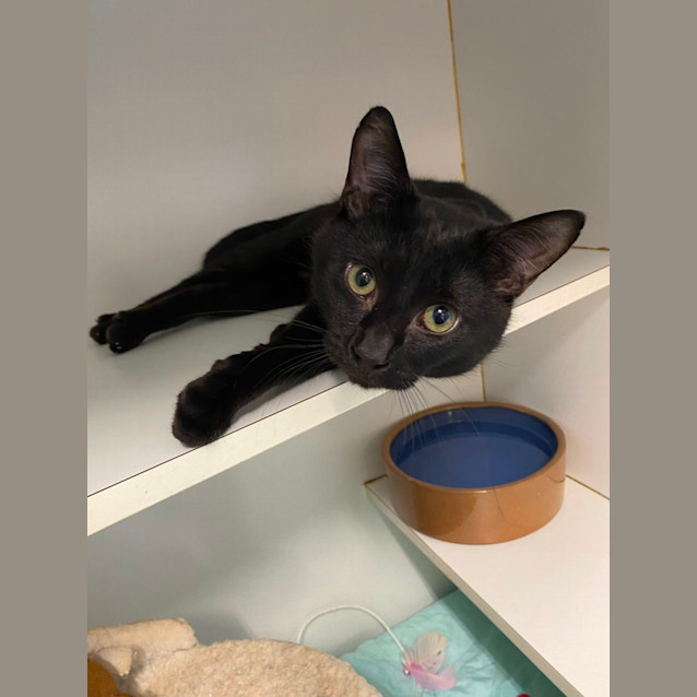 Photo of Mr Mistletoe