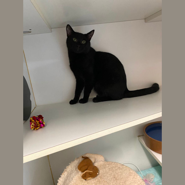 Photo of Mr Mistletoe