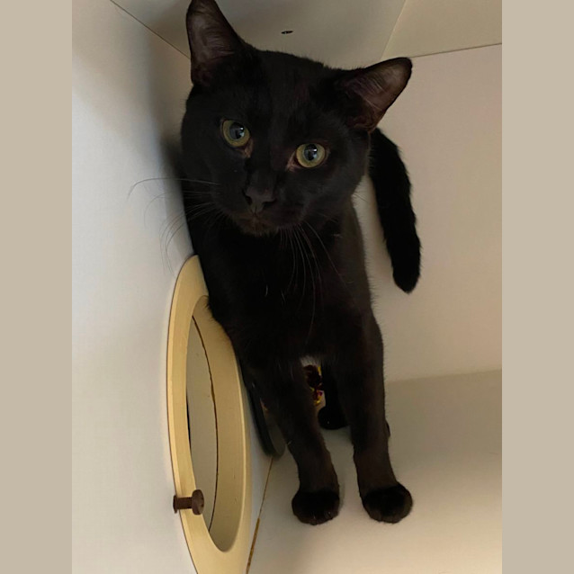 Photo of Mr Mistletoe