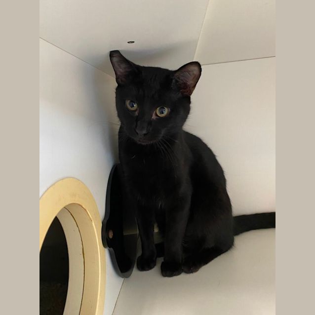 Photo of Mr Mistletoe