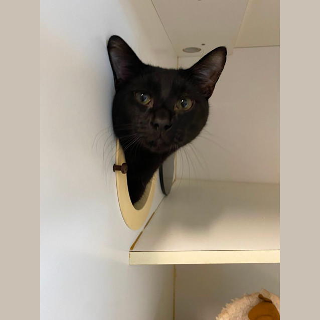 Photo of Mr Mistletoe