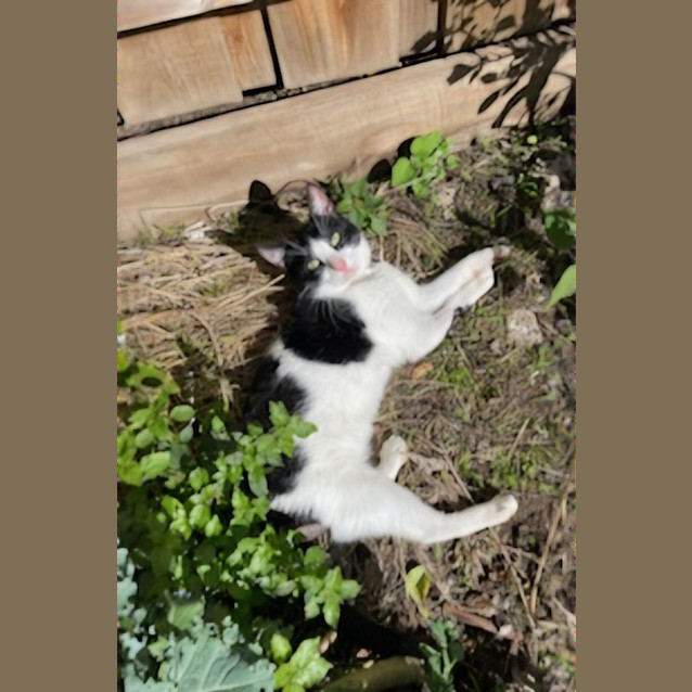 Photo of Bug