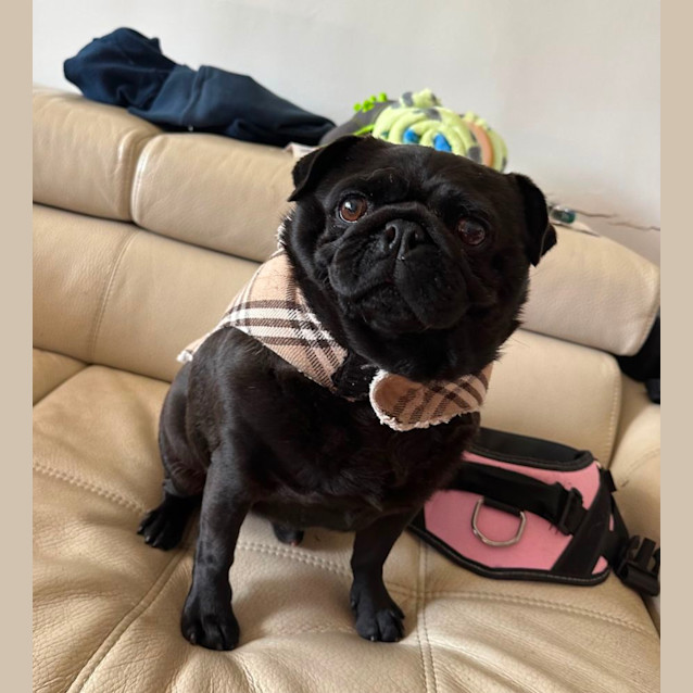 Photo of Bruce