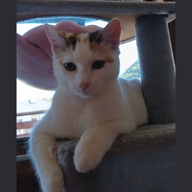 Photo of Paris 😽🐾🩷