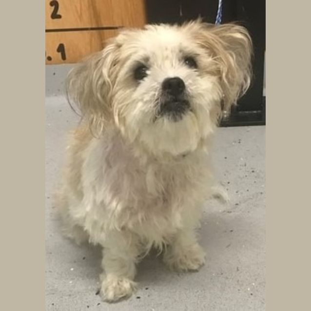 Photo of Sammy