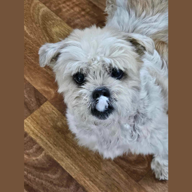 Photo of Sammy