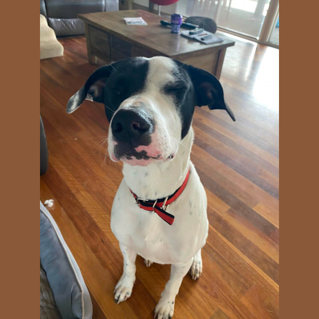 Photo of Marley 