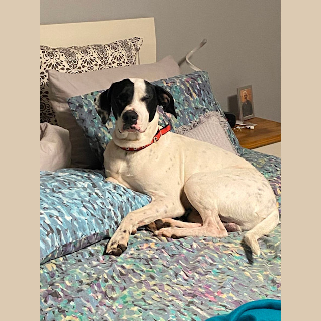 Photo of Marley 